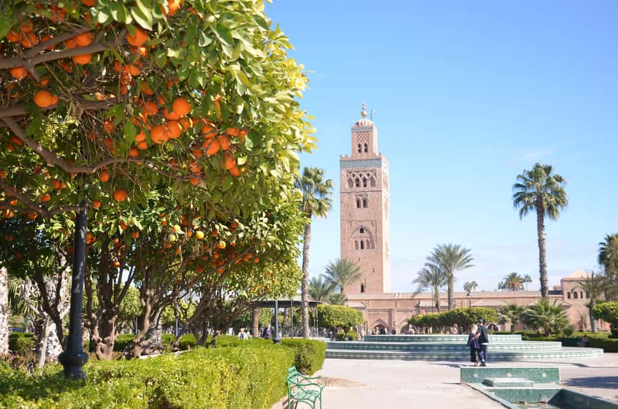 Marrakech: Monuments, Souks and Medina Guided Walking Tour - Who this tour suits best (and who should rethink it)