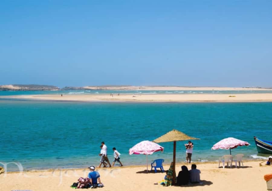Marrakech: Oualidia and Safi on the Atlantic Coast Day Trip - Who Should Book This Safi and Oualidia Day Trip