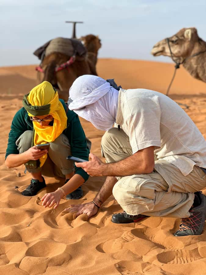 Marrakech/Ouarzazate: 2-Day Desert with Camel, 4x4 & Meals - Marrakech or Ouarzazate Pickup: How the Long Drive Feels Manageable