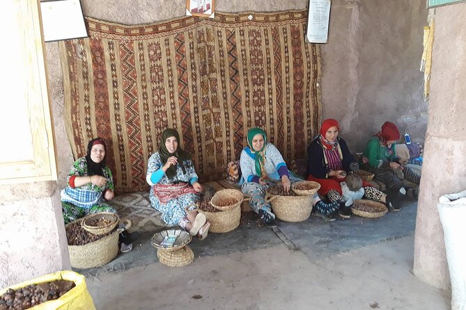 Marrakech Ourika & Agafay: Waterfalls Camels Quads &Desert Dining - Guides and Drivers: What the Best Days Have in Common