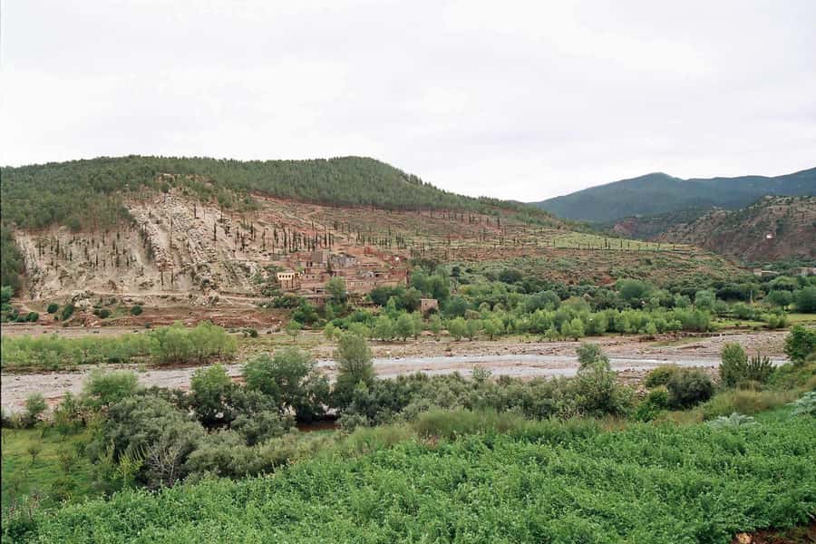 Marrakech: Ourika Valley and Atlas Mountains Day Trip - Break Time and Lunch by the River: Great Setting, Mixed Quality, Plan Accordingly