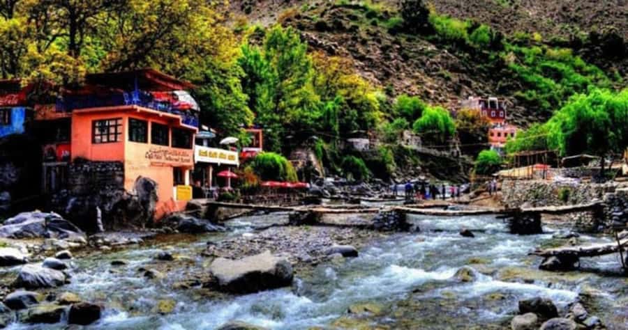 Marrakech: Ourika Valley & Atlas Mountains Tour with Lunch - The guided walk: safe, social, and sometimes more work than you expect