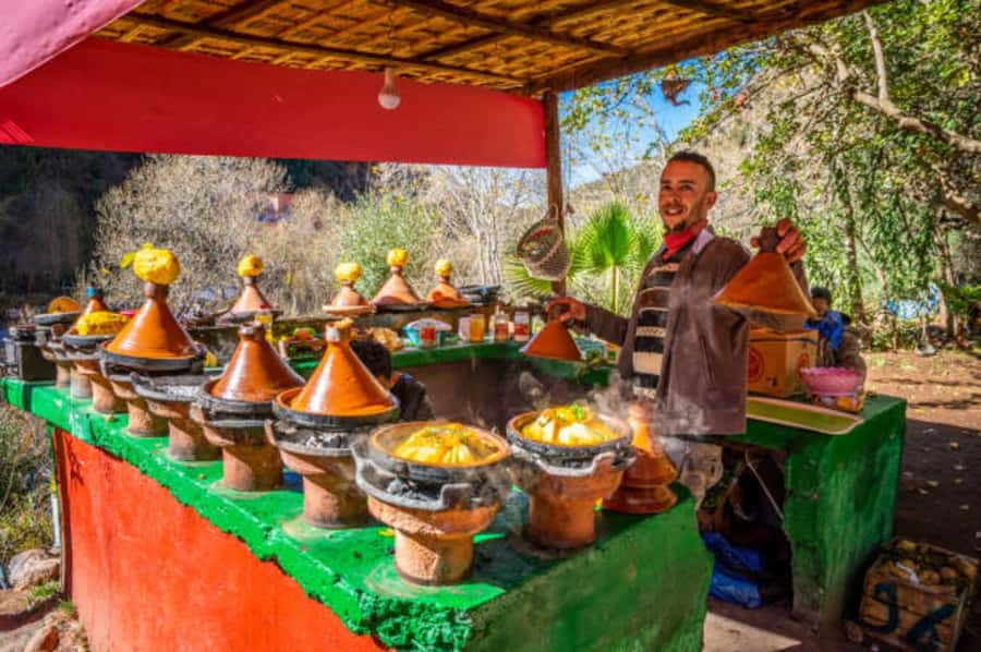 Marrakech: Ourika Valley & Atlas Mountains Tour with Lunch - The ride into the High Atlas: tea stops and photo breaks that make sense