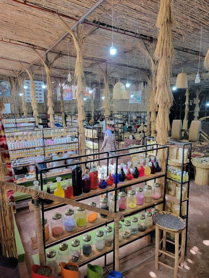 Marrakech: Ourika Valley, Atlas Mountains & Waterfalls Tour - The Setti Fatma Waterfalls Walk: What to Expect and How to Plan