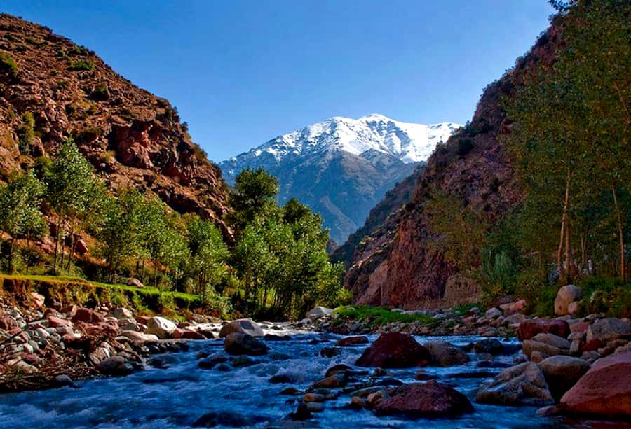 Marrakech: ourika valley Atlas Mountains & Waterfalls Trip - Why the Ourika Valley day feels like more than a “quick trip”