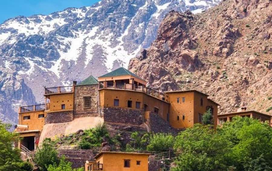 Marrakech: Ourika Valley Day Trip & Waterfalls Hike & Lunch - Argan oil co-op visit: learning the craft, and handling the sales moment
