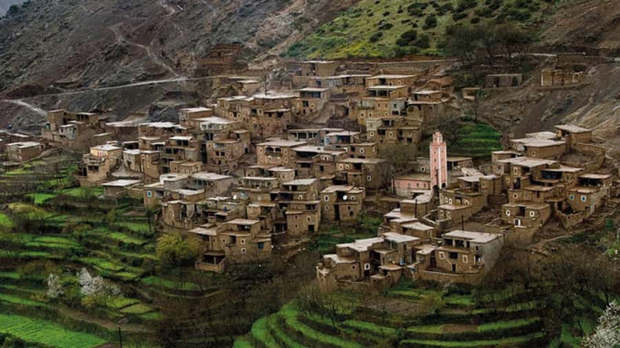 Marrakech: Ourika Valley Day Trip with Waterfalls & Lunch - Lunch in the Ourika Valley: traditional food, check value