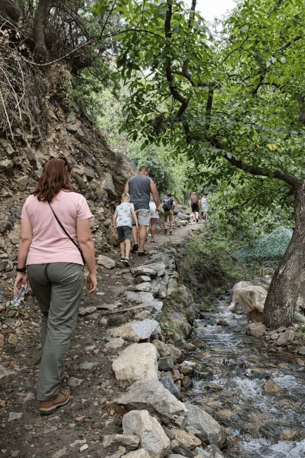 Marrakech: Ourika Valley Full-Day Atlas Mountain Guided Tour - Guides and drivers: why this tour feels safe and smooth