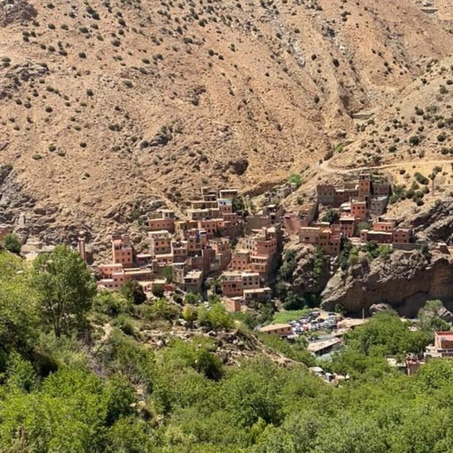 Marrakech: Ourika Valley & Setti Fatma Waterfalls with Lunch - What This Tour Suits Best (And Who Might Prefer Something Else)