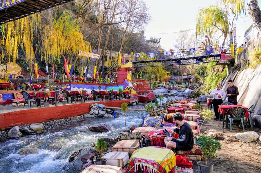 Marrakech: Ourika Valley Trip with Waterfalls, Guide & Lunch - Marrakech to the Atlas: What the Day Feels Like