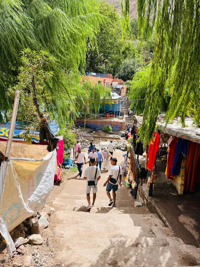 Marrakech: ourika valley & waterfall Day Trip with guide - What to Bring (and What to Leave Behind)