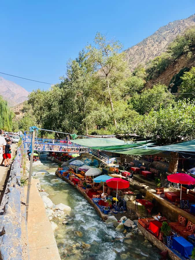 Marrakech: ourika valley & waterfall Day Trip with guide - Why This Ourika Valley Day Trip Fits Real-Life Marrakech Days
