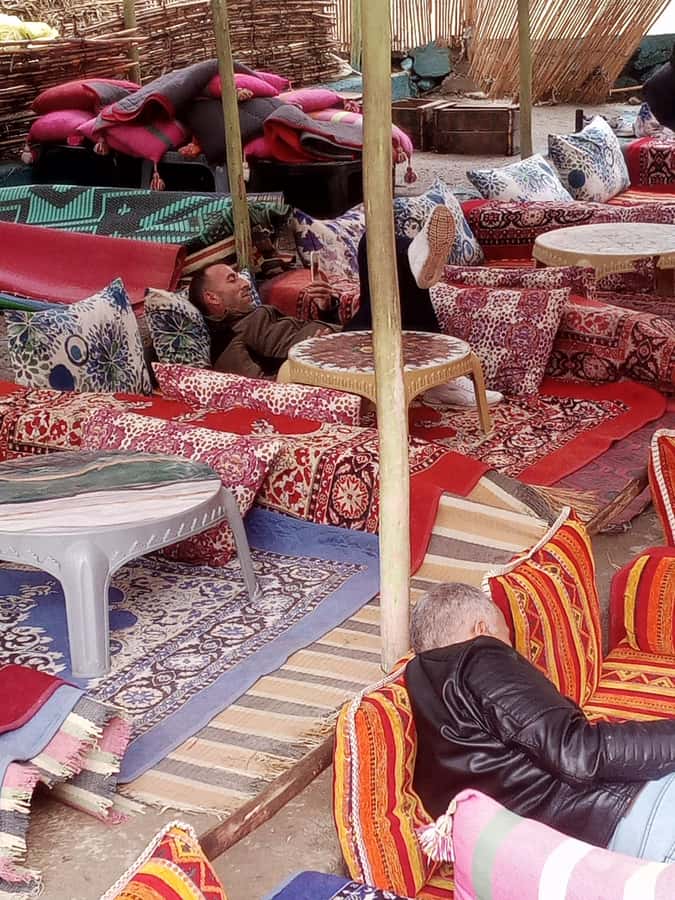 Marrakech: ourika valley & waterfall Day Trip with guide - Berber Culture and Argan Oil: Why Those Stops Matter