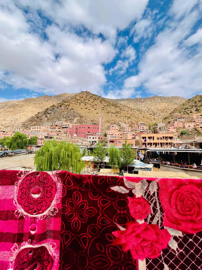 Marrakech: ourika valley & waterfall Day Trip with guide - Transport, Timing, and Group Reality