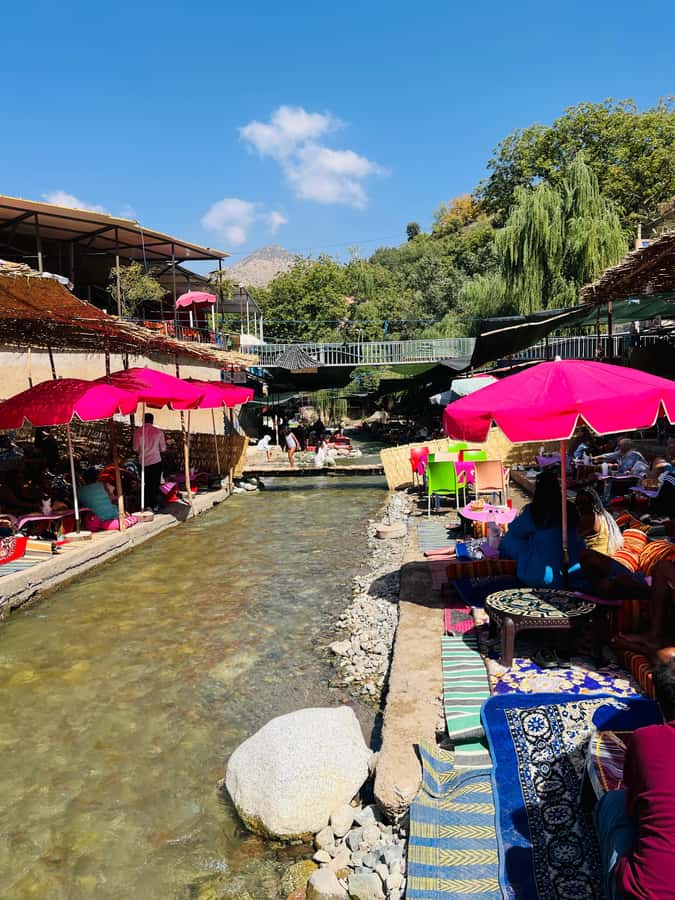 Marrakech: ourika valley & waterfall Day Trip with guide - Morning Pickup, Tafza Village, and Argan-Cooperative Tea
