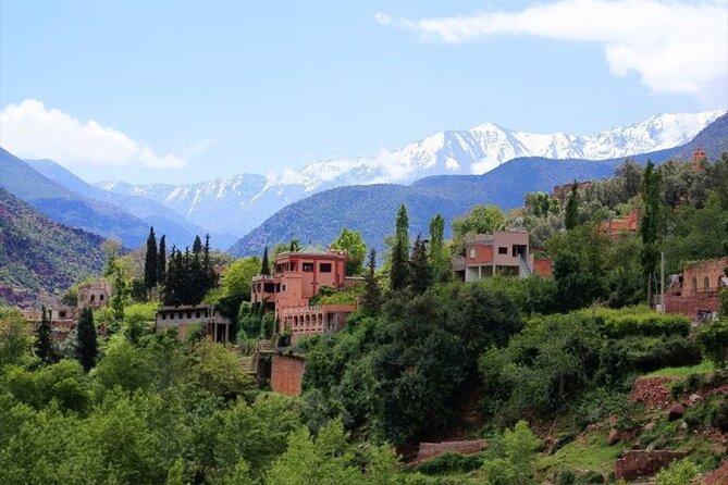 Marrakech: Ourika Valley Waterfalls and Berber Villages Day Trip - Argan oil at a women’s cooperative: what to look for