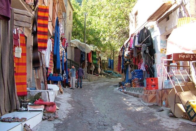 Marrakech: Ourika Valley Waterfalls and Berber Villages Day Trip - Setti Fatma and the 7 Cascades: choose your hike, then cool off