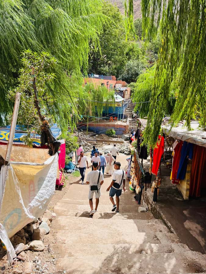 Marrakech: Ourika Valley Waterfalls & guided hike - Setti Fatma and the Ourika Valley: where the day turns into walking