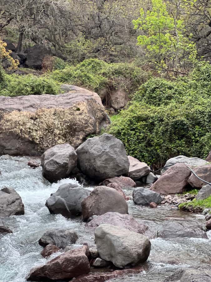 Marrakech: Ourika Valley Waterfalls Hike & Traditional Lunch - Timing and crowds: reach early, enjoy longer