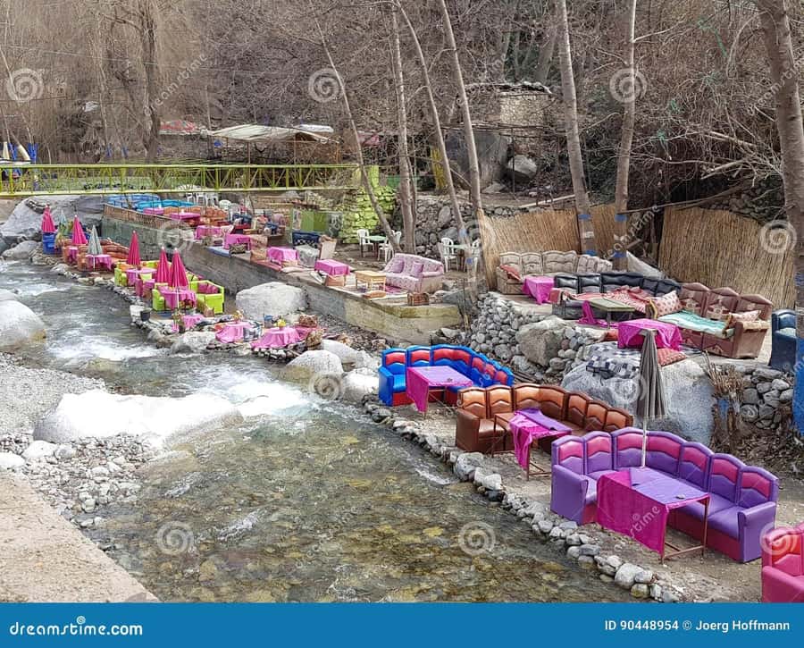 Marrakech: Ourika Valley with guid + lunch +Atlas Mountains - Who should book this Ourika Valley day trip