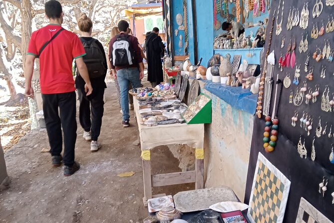 Marrakech: Ourika Valley,Atlas Mountains,waterfall with guide - Berber House Visit: Getting Past the Postcard View
