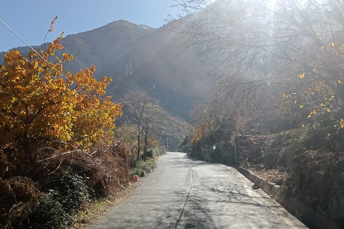 Marrakech: Ourika Valley,Atlas Mountains,waterfall with guide - Following the Ourika River to Setti Fatma Waterfall
