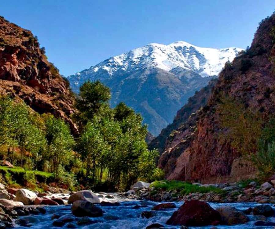 Marrakech: Ourika Valley,Waterfalls, Atlas Luxury Day trip - The Setti Fatma village base and the waterfall hike reality check