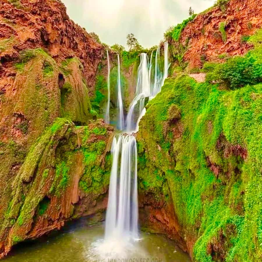 Marrakech: Ouzoud Waterfall, Guided Hike, Boat Ride & Lunch - The guided hike: what monkey spotting and stairs really mean