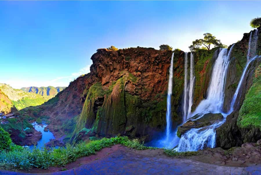 Marrakech : Ouzoud Waterfalls & Guided Tour & Boat Ride - Walking the nature trails: olive trees, fig trees, and wildflowers