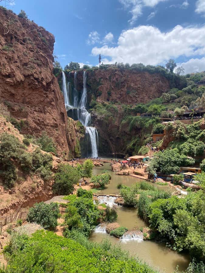 Marrakech : Ouzoud Waterfalls & Guided Tour & Boat Ride - Meeting the Barbary macaques: fun wildlife, real common sense