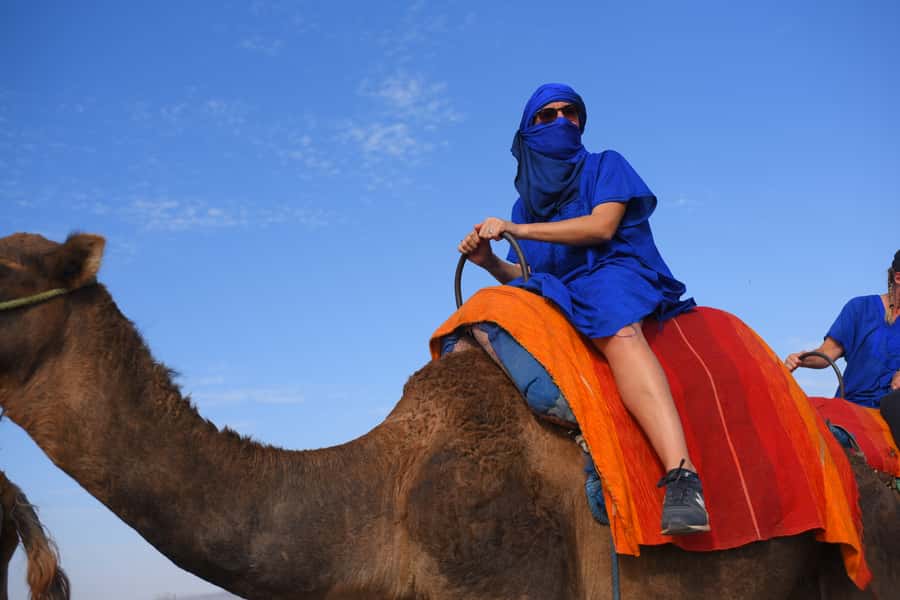 Marrakech: pack quad and camel ride in the palm grove - Key Highlights You’ll Care About