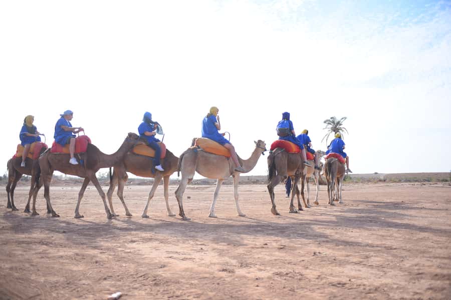 Marrakech: pack quad and camel ride in the palm grove - What This Quad-and-Camel Tour Actually Gives You