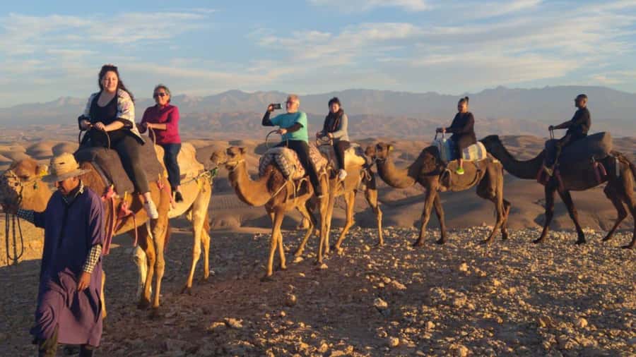 Marrakech Palaces and Monuments Half-Day Tour - El Badi Palace: Saadian Grandeur with Tickets Needed