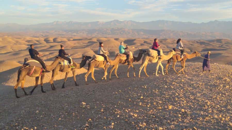 Marrakech Palaces and Monuments Half-Day Tour - What the Morning Route Feels Like in Real Life