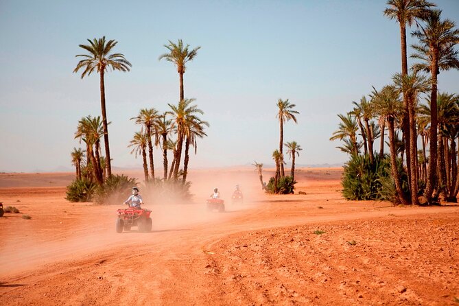 Marrakech Palm Grove 2-Hour Quad Biking Adventure. - The mint tea stop and Berber village atmosphere
