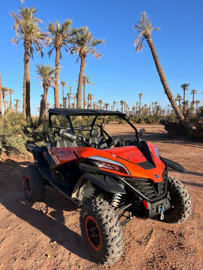 Marrakech : Palm Grove and jbilat Desert Buggy 1000cc Tour - A 1000cc buggy through Marrakech’s palm-and-desert edge