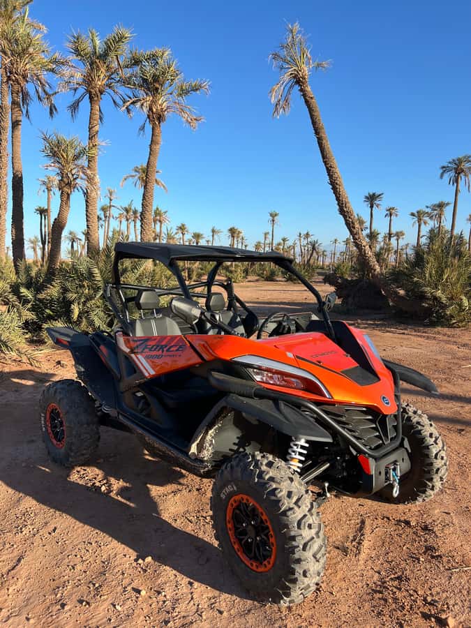 Marrakech : Palm Grove and jbilat Desert Buggy 1000cc Tour - Two hours of rocky desert and the Palmeraie backdrop