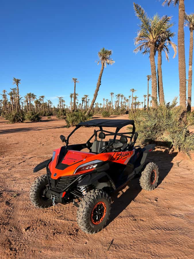 Marrakech : Palm Grove and jbilat Desert Buggy 1000cc Tour - The mint tea break in a traditional villa (and why it’s timed well)