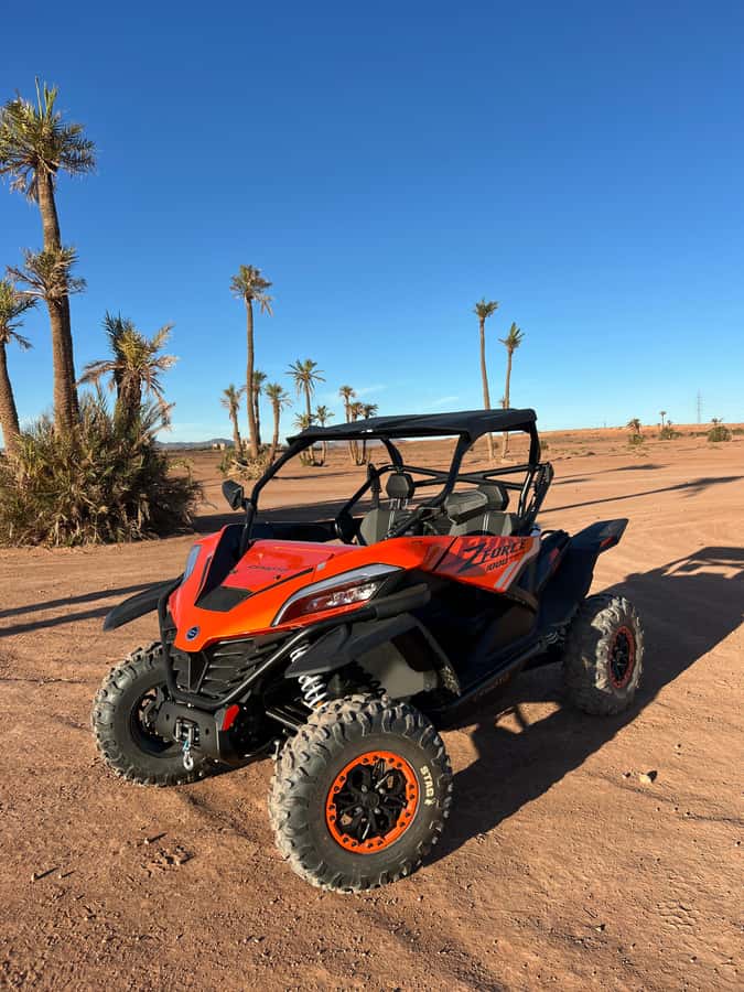 Marrakech : Palm Grove and jbilat Desert Buggy 1000cc Tour - Palm grove photo stop: short window, good results