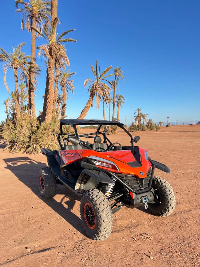 Marrakech : Palm Grove and jbilat Desert Buggy 1000cc Tour - Price and value: what $79 really covers