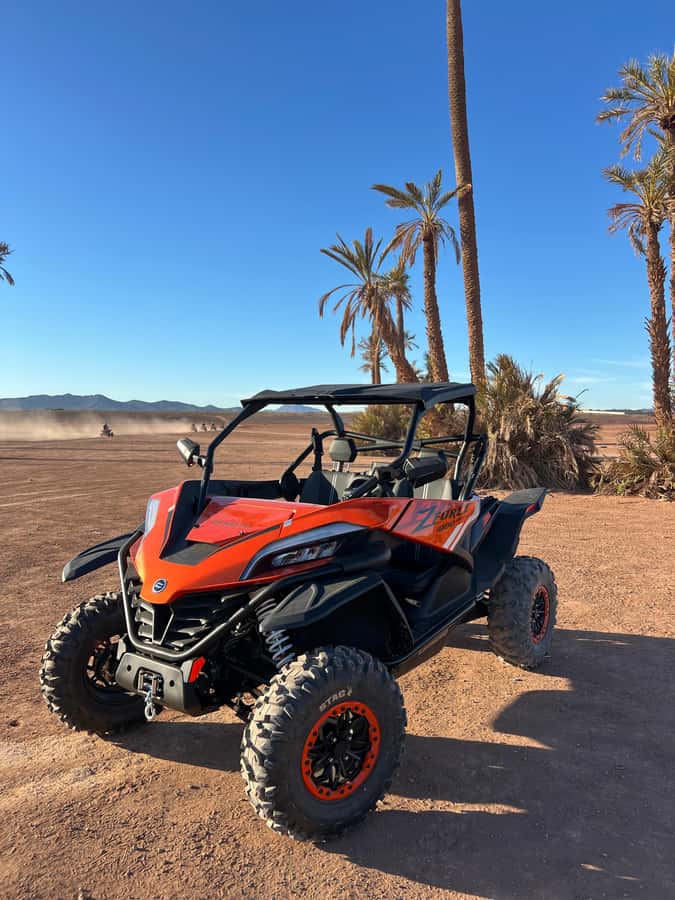 Marrakech : Palm Grove and jbilat Desert Buggy 1000cc Tour - Who this buggy tour suits best