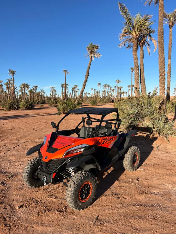 Marrakech : Palm Grove and jbilat Desert Buggy 1000cc Tour - Should you book? My straight answer