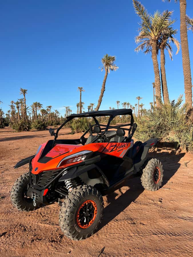 Marrakech : Palm Grove and jbilat Desert Buggy 1000cc Tour - Safety briefing, helmets, and the no-license setup