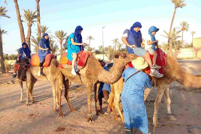 Marrakech Palm Grove Camel Ride with Tea-Break - Marrakech Palm Grove Camel Ride: why this feels different from city tours
