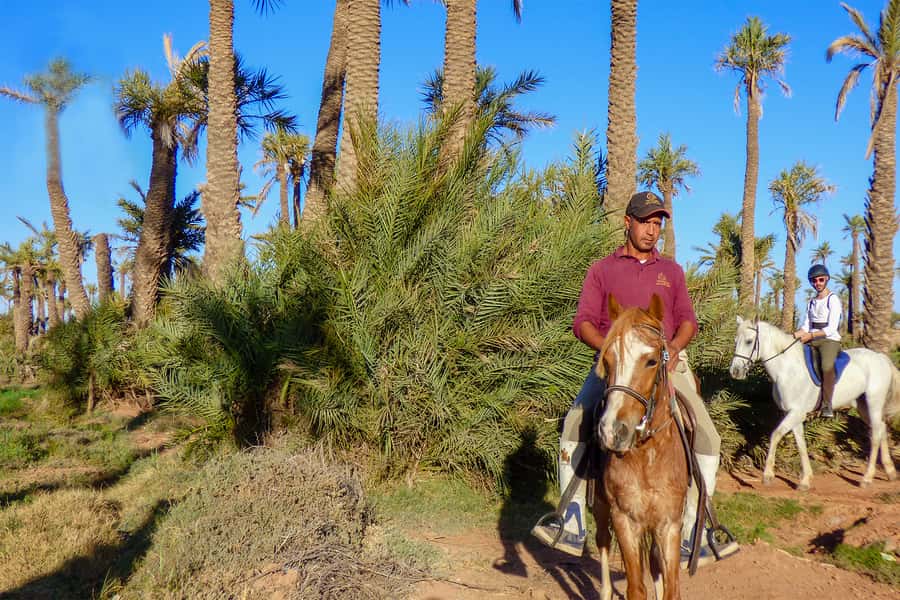 Marrakech: Palm Grove Horseback Riding Tour - Key takeaways before you go