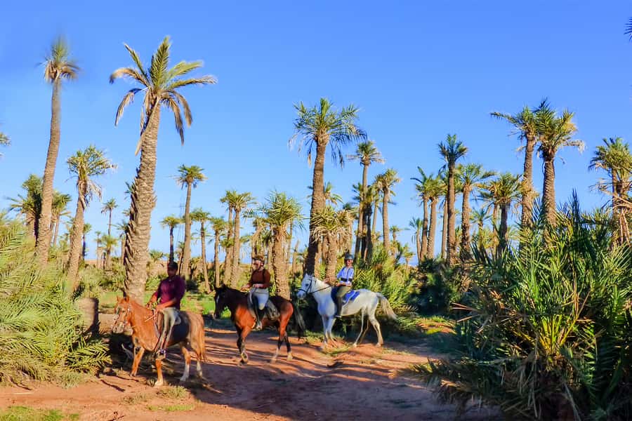 Marrakech: Palm Grove Horseback Riding Tour - Why the Palmeraie horseback ride works so well in just 2 hours