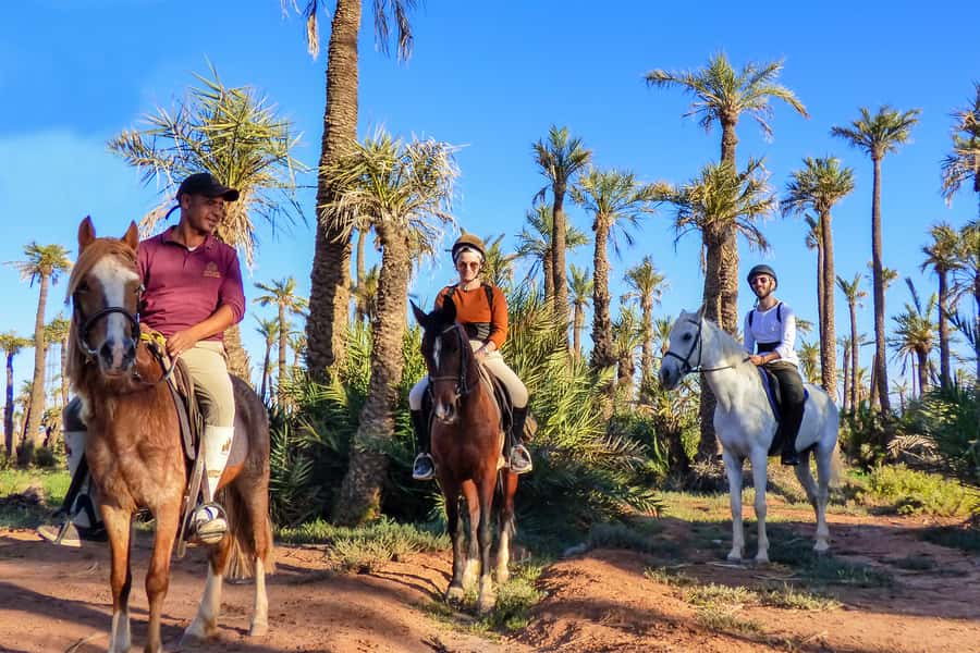 Marrakech: Palm Grove Horseback Riding Tour - Meet the horses and get your safety basics without fuss