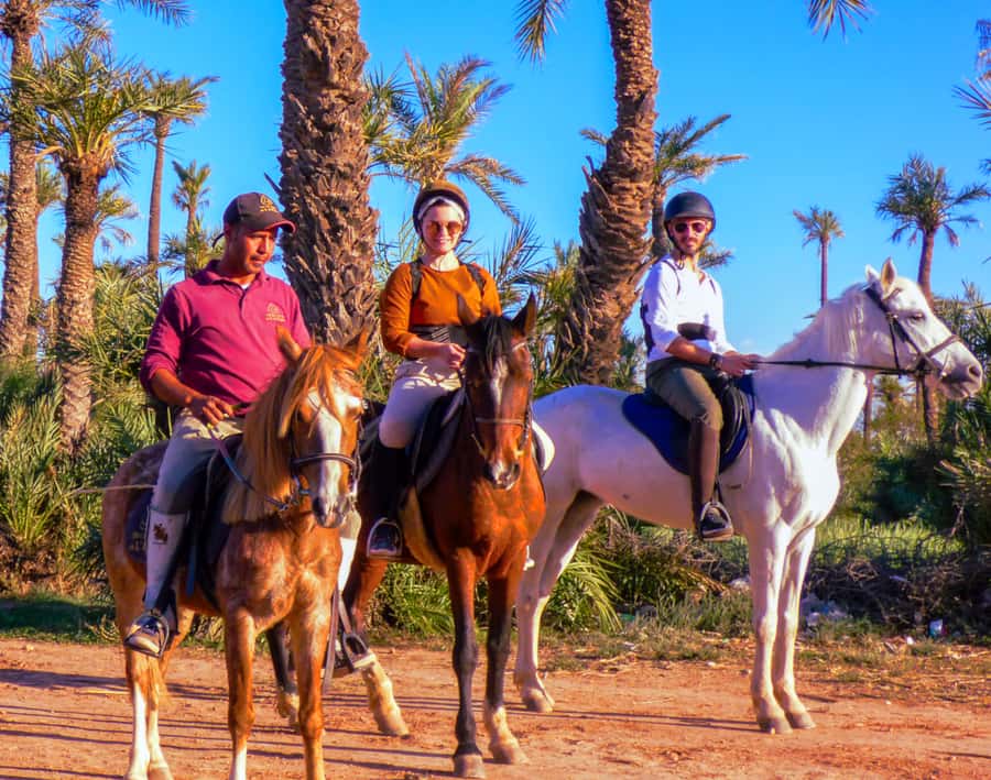 Marrakech: Palm Grove Horseback Riding Tour - Who this tour suits best (and who should think twice)