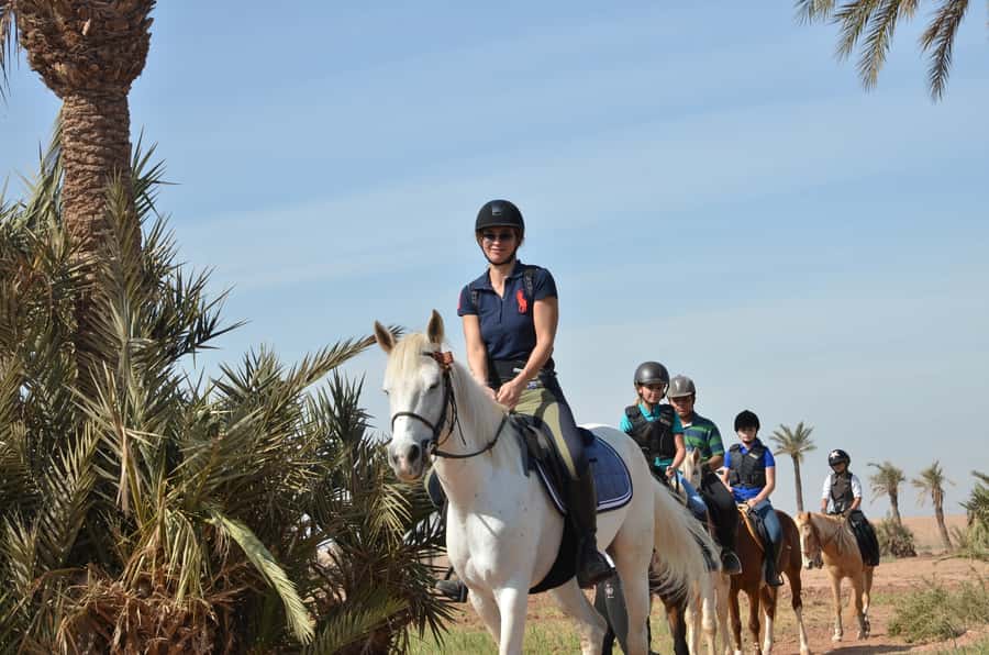 Marrakech: Palm Grove Horseback Riding Tour - Marrakech pickup: smooth starts from your hotel or riad