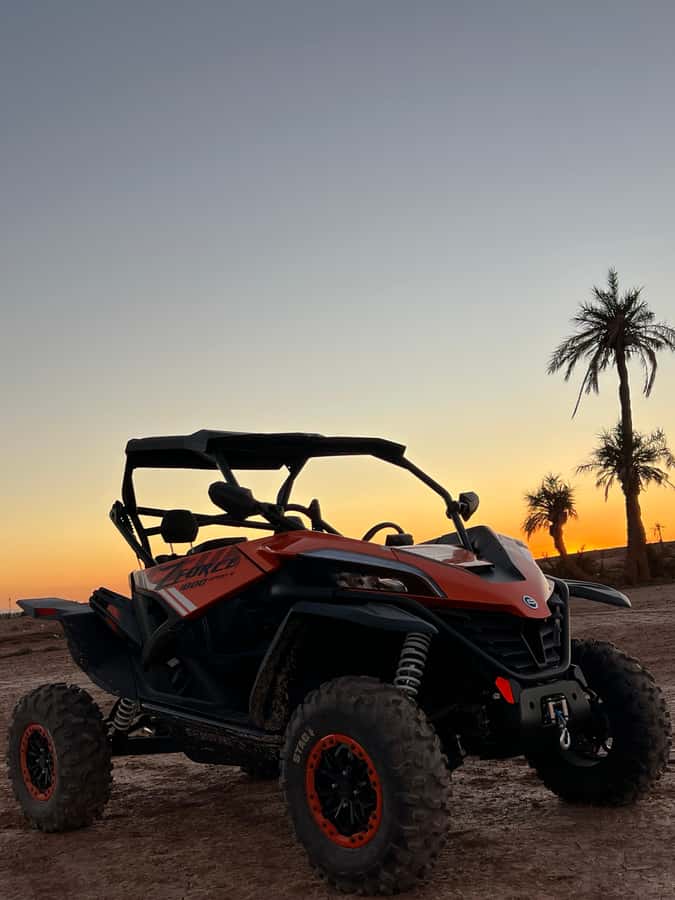 Marrakech: Palm Grove Sunset Buggy Tour - Key Highlights You’ll Actually Feel